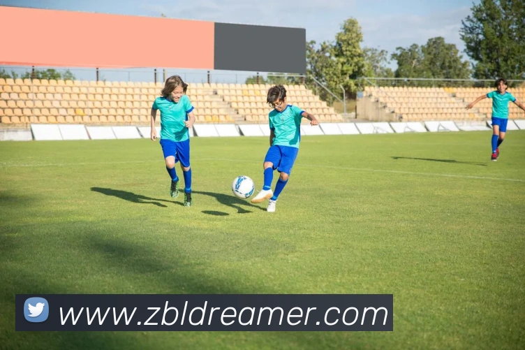 九游体育j9官网APP 封面图